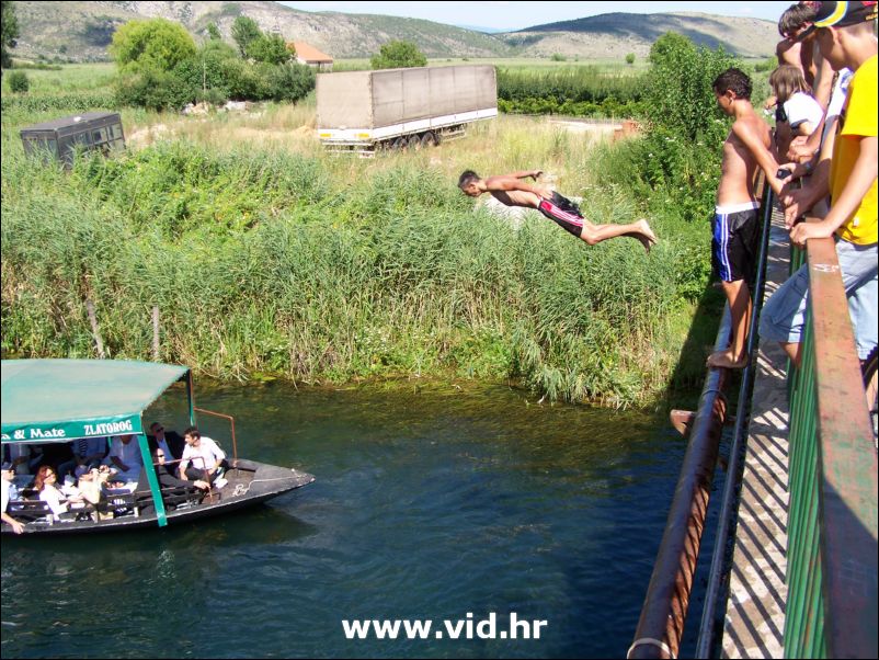 Mesic u Vidu (30)